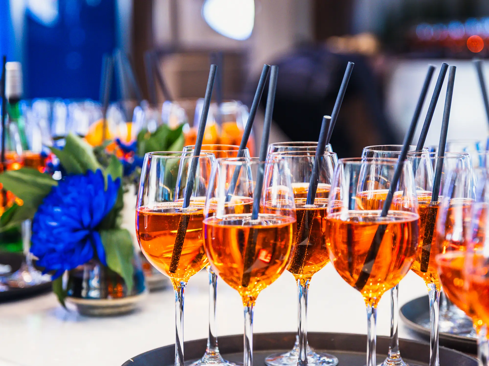 Referenzprojekt: Catering-Dokumentation auf der MS Helgoland für Haase Catering